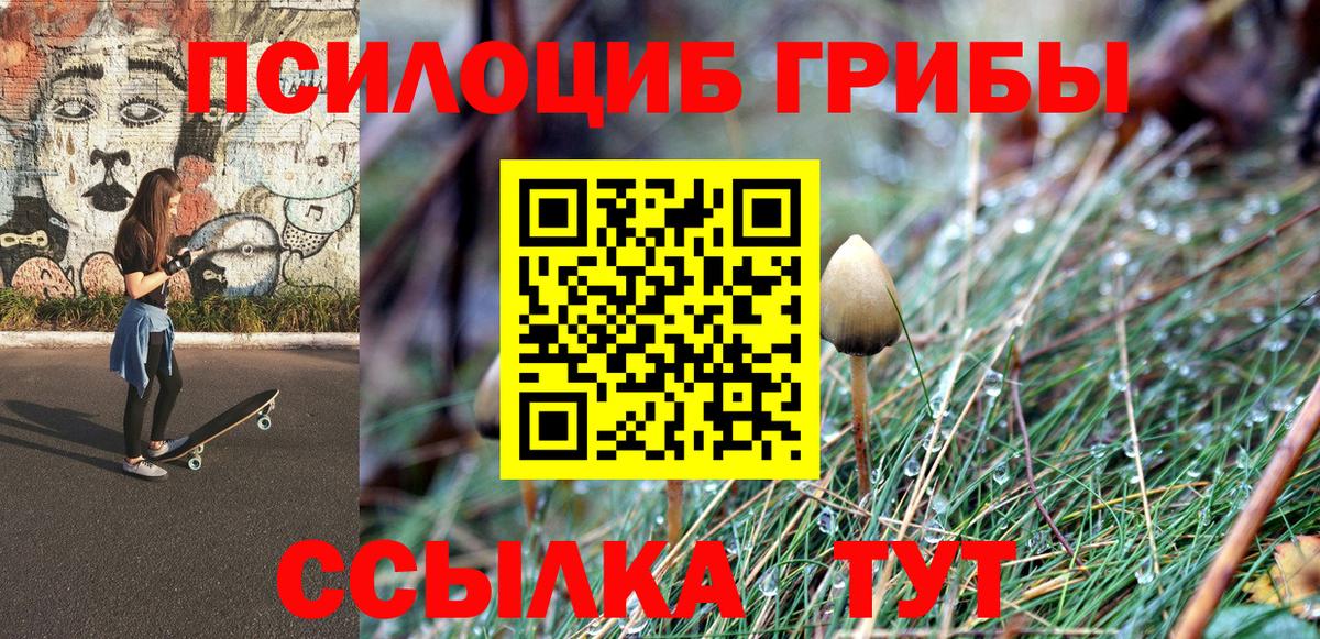 Галлюциногенные грибы мицелий Альметьевск