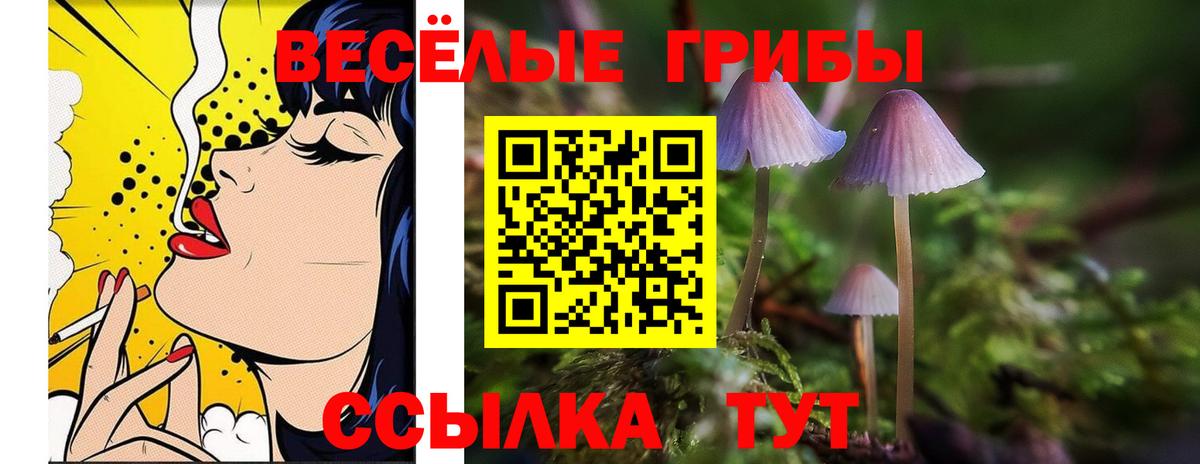 Галлюциногенные грибы прущие грибы  Вход с VPN  Альметьевск  Галлюциногенные грибы Psilocybine cubensis 